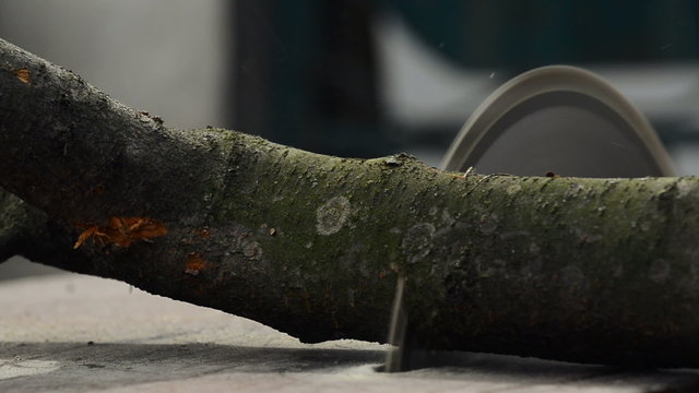 Man Cutting Wood with Electric Power Table Circular  Saw