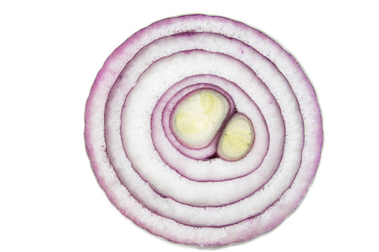 Onion slice macro isolated on white background