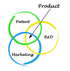 Novel product creation