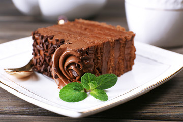 Tasty piece of chocolate cake with mint