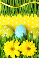 Easter eggs and grass on colorful paper background