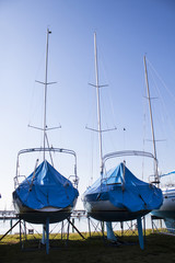 sailboats stored in a marina