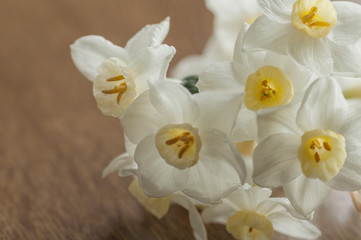 Naklejka na ściany i meble White and yellow narcissus flowers detail, on wooden background