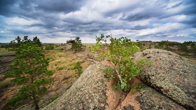 Panoramic view of rocky terrain