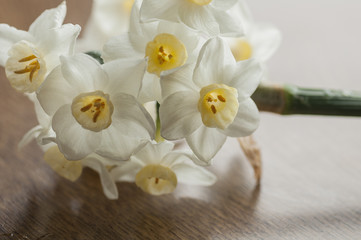 White and yellow narcissus flowers detail, on wooden background