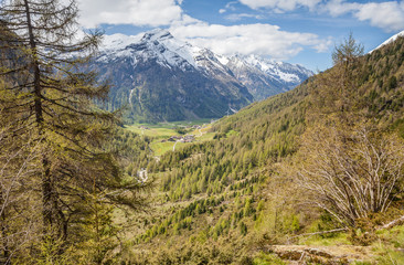 Wanderweg in Südtirol