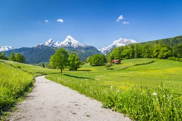 Abwaschbare Fototapete Idyllische Sommerlandschaft in den Alpen © JFL Photography