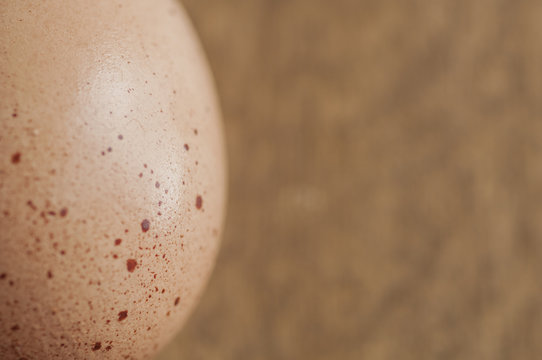 Egg shell texture detail