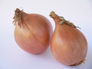 Zwiebel