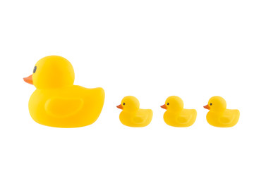 Family duck toy a over white background