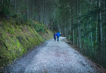 Obraz premium Eibsee lake, Garmisch-Partenkirchen, Bavarian Alps, Germany
