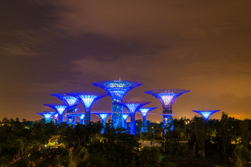 Gardens by the Bay - SuperTree Grove in Singapore