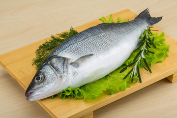Raw seabass