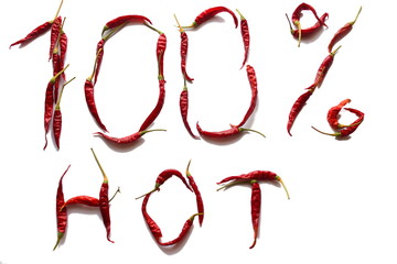 one hundred percent hot