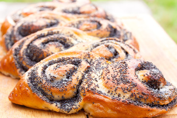 Poppy seed roll freshly baked on th table