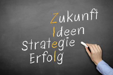 Ziel Strategie