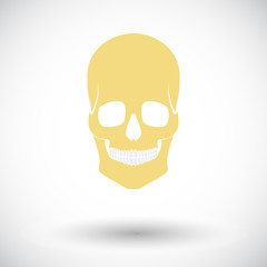 Anotomy skull