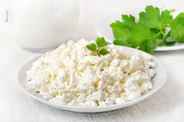 Cottage cheese on white plate