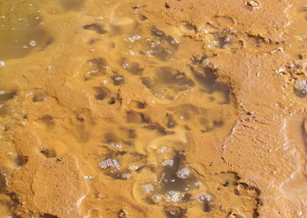 Danakil depression,hot springs,Ethiopia