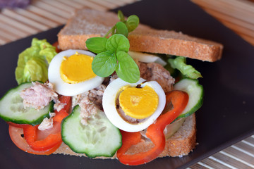 Rye bread sandwich with tuna fish, tomato and cucumber slices