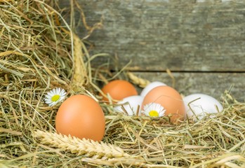 Fresh eggs in straw with rustic wooden background copy space