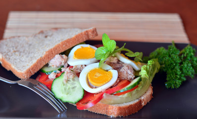Rye bread sandwich with tuna fish, tomato and cucumber slices
