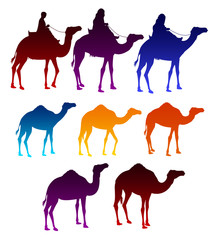 Set of Colorful Camels and Arab Men Riding in Camels