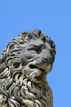 The lion statue in the Boboli gardens