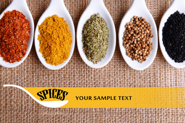 Different kinds of spices in ceramics spoons,