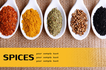 Different kinds of spices in ceramics spoons,