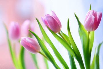 Beautiful pink tulips on bright background