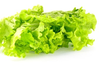 Lettuce on a white background