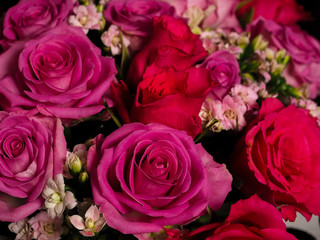 Fototapeta premium Bouquet of beautiful pink roses at closeup