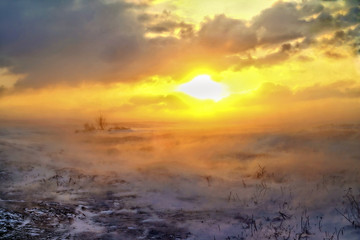Obraz premium snowstorm in the steppe