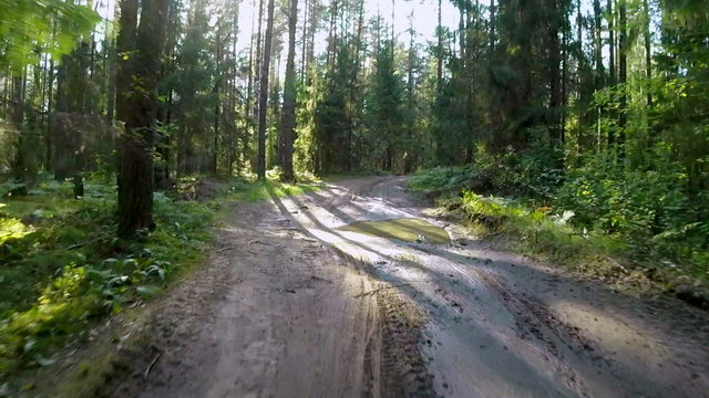 POV shot of cyclist riding through sunny summer forest