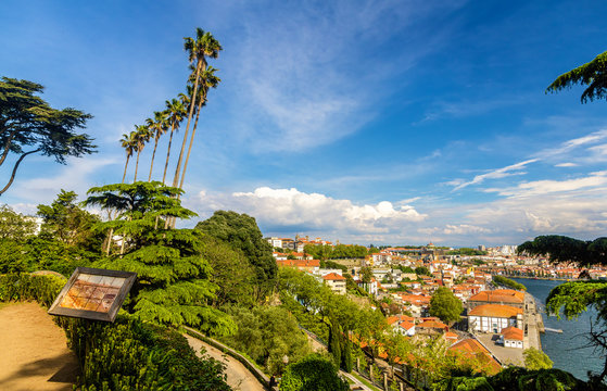 View Of Porto From Jardins Do Palacio De Cristal