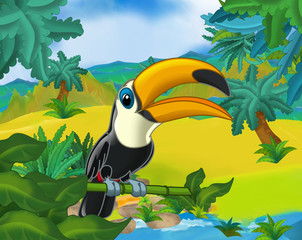 Cartoon scene - wild south america animals - toucan - illustration for the children © agaes8080