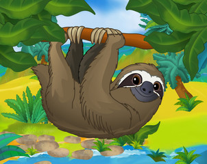 Cartoon scene - wild south america animals - sloth © agaes8080