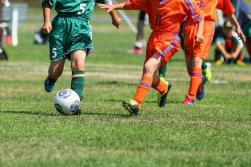 Fototapeta premium サッカー