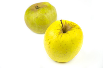 apples green and yellow