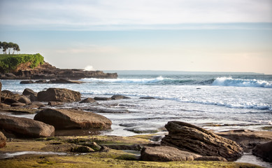 wild and  beautiful cost