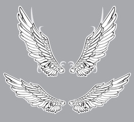 Wings Set