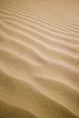 Fototapeta premium sand texture background