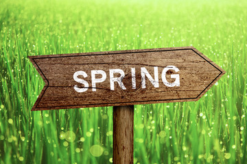 Spring roadsign