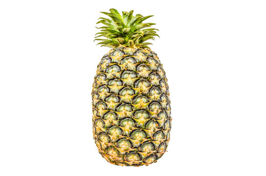 Pineapple isolated white background with clippingpath