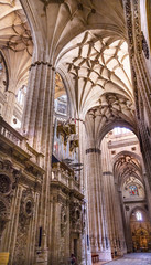 Stone Columns Stained Glass New Salamanca Cathedral Spain