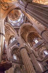 Fototapeta premium Stone Columns Statues Dome New Salamanca Cathedral Spain