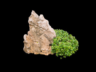 Rock and bush for gardening isolated