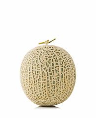 cantaloupe melon on white background