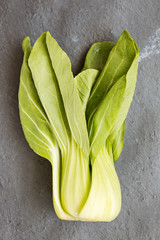 Pok Choi on gray background, top view
